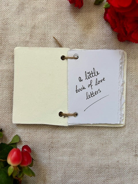 Teeny Tiny Book of Love