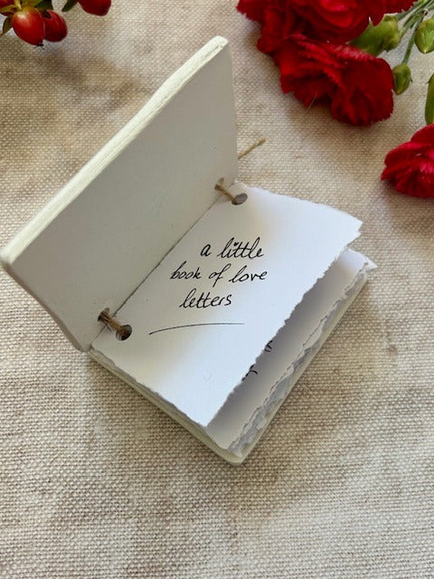 Teeny Tiny Book of Love